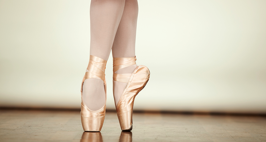 How much are Ballet Pointe Shoes