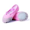 Fitness Comfy Ballet Slippers for training